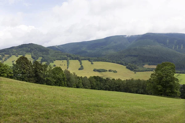 チェコ共和国 イェセニク山の夏の風景 — ストック写真