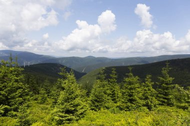 Çek Cumhuriyeti 'nin Jesenik Dağı' nda yaz manzarası