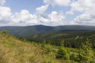 Çek Cumhuriyeti 'nin Jesenik Dağı' nda yaz manzarası