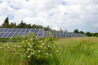 Bahar çiçekli çayırdaki güneş enerjisi santrali 