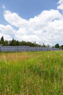 Bahar çiçekli çayırdaki güneş enerjisi santrali 