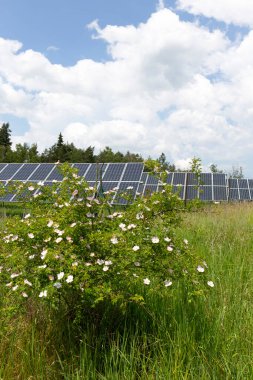 Bahar çiçekli çayırdaki güneş enerjisi santrali 