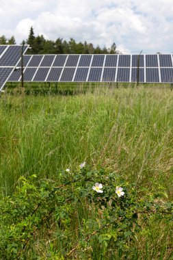 Bahar çiçekli çayırdaki güneş enerjisi santrali 