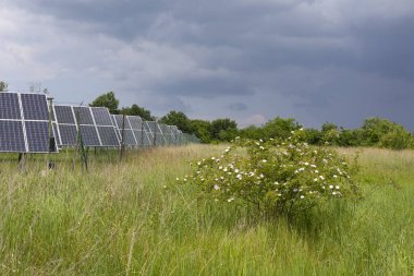 Bahar çiçekli çayırdaki güneş enerjisi santrali 