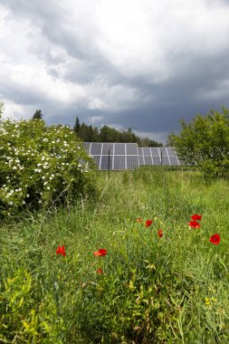 Bahar çiçekli çayırdaki güneş enerjisi santrali 