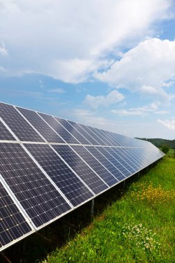 Bahar çiçekli çayırdaki güneş enerjisi santrali 