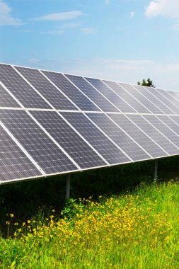 Bahar çiçekli çayırdaki güneş enerjisi santrali 