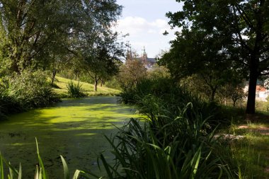 Gotik Şatosu ve Çek Cumhuriyeti 'nin Petrin Tepesi' nden Yeşil Doğa ile Yaz Prag Şehri