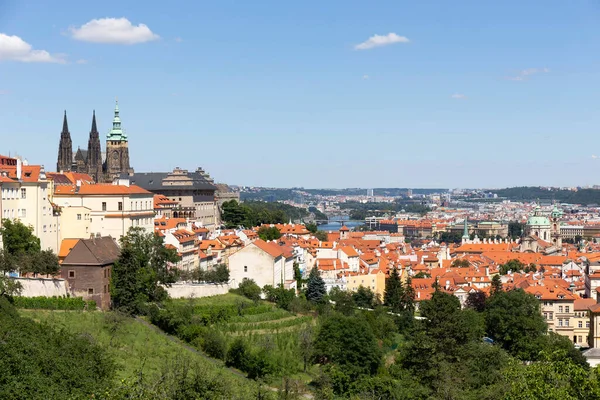 Letní Město Praha Gotickým Hradem Zelenou Přírodou Petřína Česká Republika — Stock fotografie