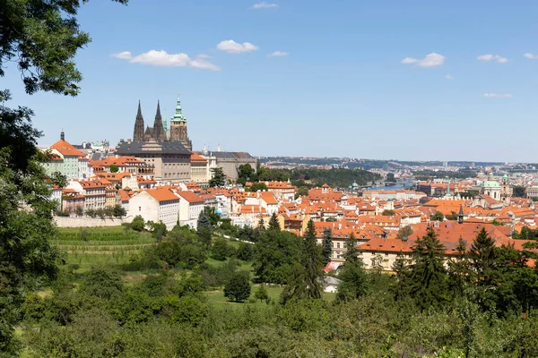 Letní Město Praha Gotickým Hradem Zelenou Přírodou Petřína Česká Republika — Stock fotografie