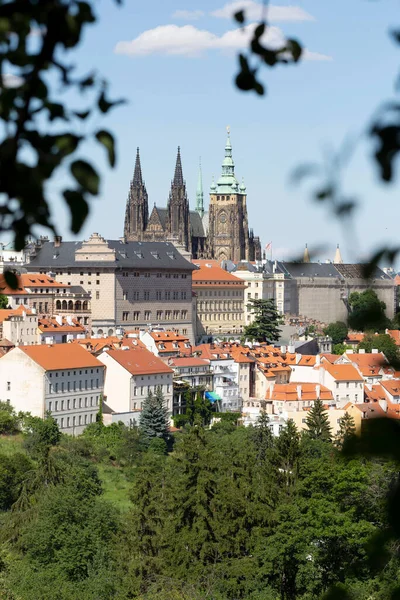 ゴシック様式の城とチェコ共和国の丘ペトリンからの緑の自然と夏のプラハ市 — ストック写真
