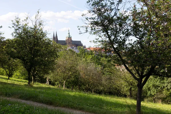 Letní Město Praha Gotickým Hradem Zelenou Přírodou Petřína Česká Republika — Stock fotografie