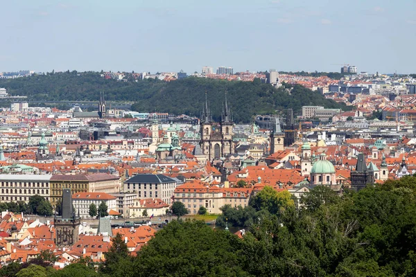 Město Praha Zelenou Přírodou Petřína Česká Republika — Stock fotografie