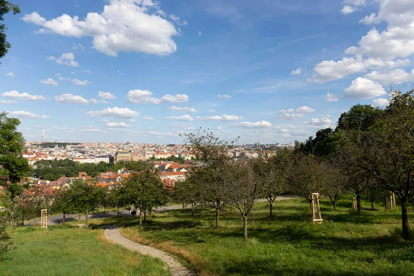 Praga Cidade Com Verde Natureza Colina Petrin República Checa — Fotografia de Stock