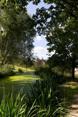 Prag Şehri Gotik Kalesi ve Çek Cumhuriyeti 'nin Petrin Tepesi' nden Yeşil Doğa