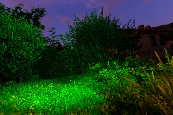 Magiczna Zielona Noc Garden — Zdjęcie stockowe