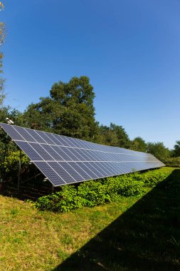 Yaz sonu Nature 'daki Güneş Enerjisi Santrali' nin detayları