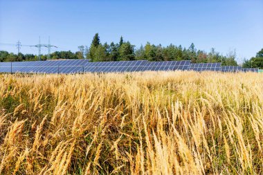 Yaz sonu Nature 'daki Güneş Enerjisi Santrali' nin detayları