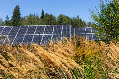 Yaz sonu Nature 'daki Güneş Enerjisi Santrali' nin detayları