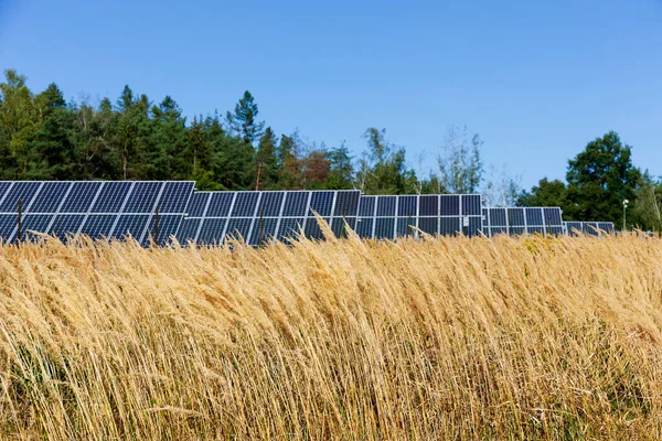 Yaz Sonu Nature Daki Güneş Enerjisi Santrali Nin Detayları — Stok fotoğraf