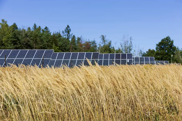 Yaz sonu Nature 'daki Güneş Enerjisi Santrali' nin detayları