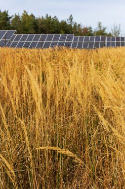 Yaz sonu Nature 'daki Güneş Enerjisi Santrali' nin detayları