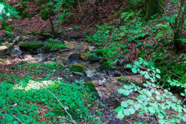 Kuzey Moravya, Çek Cumhuriyeti Rychlebske Dağları 'ndaki güzel temiz manzara