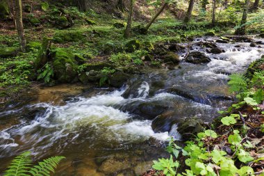 Kuzey Moravya, Çek Cumhuriyeti Rychlebske Dağları 'ndaki güzel temiz manzara