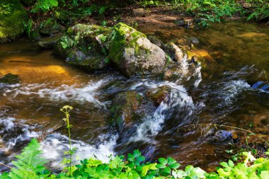Kuzey Moravya, Çek Cumhuriyeti Rychlebske Dağları 'ndaki güzel temiz manzara