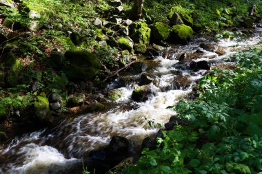 Kuzey Moravya, Çek Cumhuriyeti Rychlebske Dağları 'ndaki güzel temiz manzara