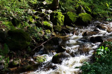 Kuzey Moravya, Çek Cumhuriyeti Rychlebske Dağları 'ndaki güzel temiz manzara