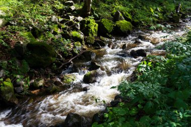 Kuzey Moravya, Çek Cumhuriyeti Rychlebske Dağları 'ndaki güzel temiz manzara