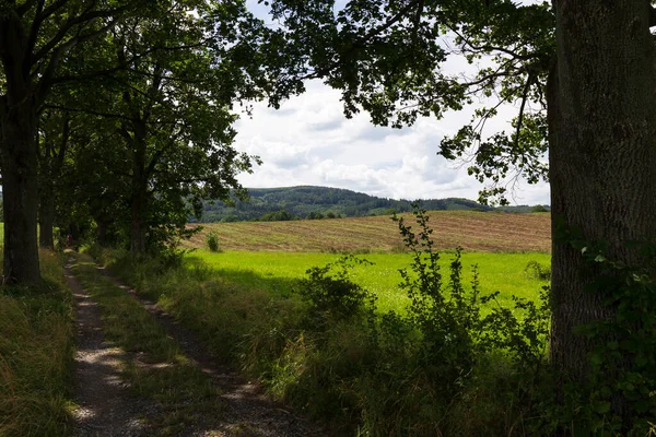 Beautiful Clean Landscape Rychlebske Mountains Northern Moravia Czech Republic — Stock Photo, Image