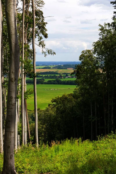 Beautiful Clean Landscape Rychlebske Mountains Northern Moravia Czech Republic — Stock Photo, Image