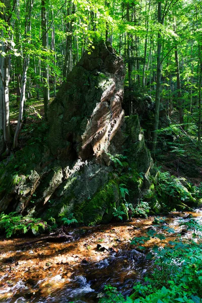 Vackra Rena Landskap Rychlebske Bergen Norra Mähren Tjeckien — Stockfoto