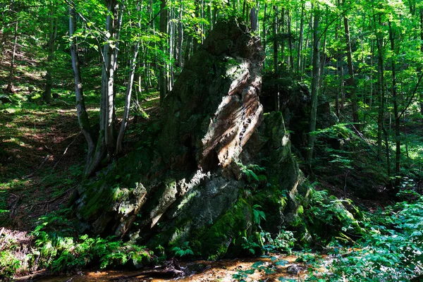 Schöne Saubere Landschaft Rychlebske Gebirge Nordmähren Tschechische Republik — Stockfoto