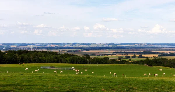 Beautiful Clean Landscape Rychlebske Mountains Northern Moravia Czech Republic — Stock Photo, Image