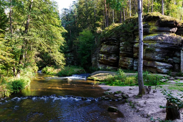 捷克共和国 捷克河周围的野生夏季景观 — 图库照片