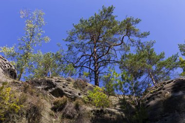 Çek Cumhuriyeti, Çek Cumhuriyeti 'nde yaz sonu manzarası