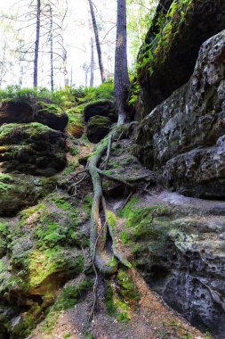 Çek Cumhuriyeti, Çek Cumhuriyeti 'nde yaz sonu manzarası