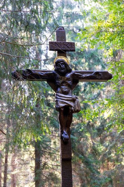 Jésus Fin Été Paysage Suisse Tchèque République Tchèque — Photo