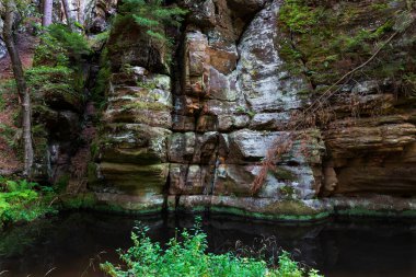 Çek Cumhuriyeti, İsviçre ve Çek Cumhuriyeti 'nde Kayalar ve Kayalar ile Derenin etrafındaki vahşi yaz manzarası