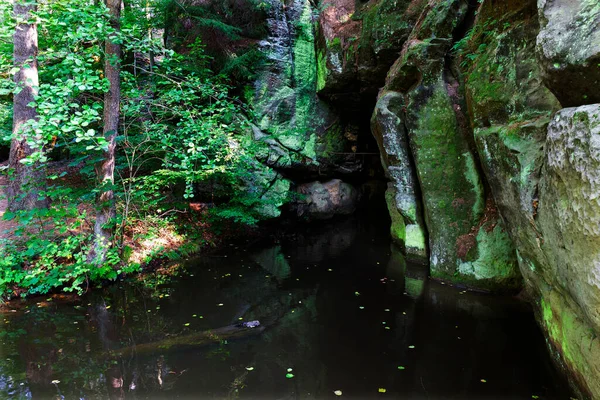 Wild Summer Landscape Creek Boulders Rock Czech Switzerland Czech Republic — Stock Photo, Image