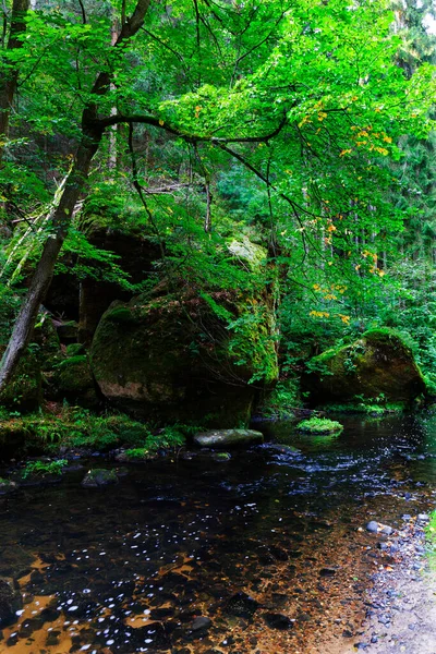 Vild Sommar Landskap Runt Med Stenblock Och Sten Tjeckien Schweiz — Stockfoto