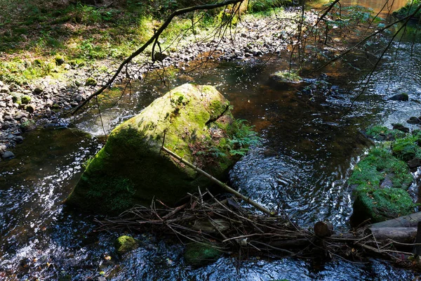 捷克共和国 带巨石和岩石的河边野生夏季景观 — 图库照片