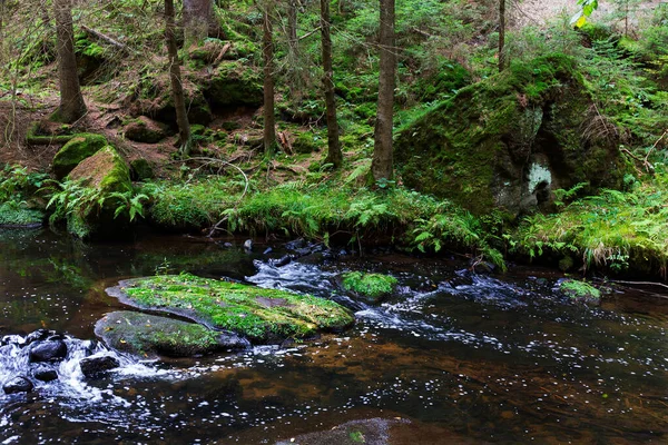 Wilde Sommerlandschaft Rund Den Bach Mit Felsbrocken Und Felsen Der — Stockfoto