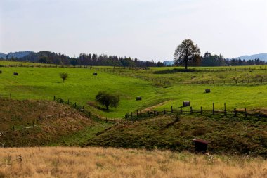 Çek Cumhuriyeti, Çek Cumhuriyeti 'nde yaz sonu manzarası