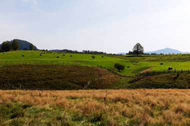 Çek Cumhuriyeti, Çek Cumhuriyeti 'nde yaz sonu manzarası