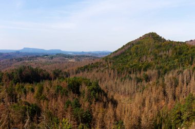Çek Cumhuriyeti, Çek Cumhuriyeti 'nde yaz sonu manzarası