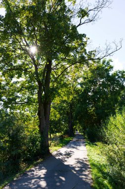 Çek Cumhuriyeti 'nin merkezinden Sazava Nehri etrafındaki güzel sonbahar ağaçları 